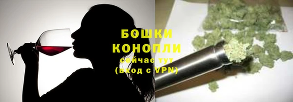 гидра Володарск