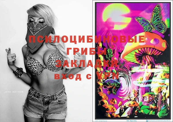 спиды Волосово
