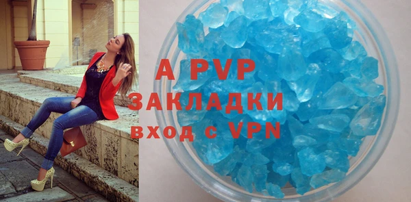 гидра Володарск