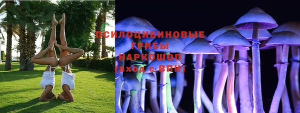 спиды Волосово