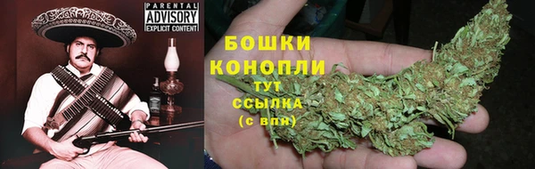 гидра Володарск