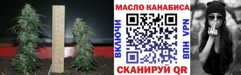 Купить закладки  Волгореченск  Дистиллят ТГК концентрат 